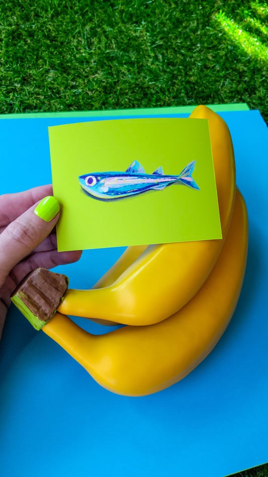 🐟 mini sardinny 🐟