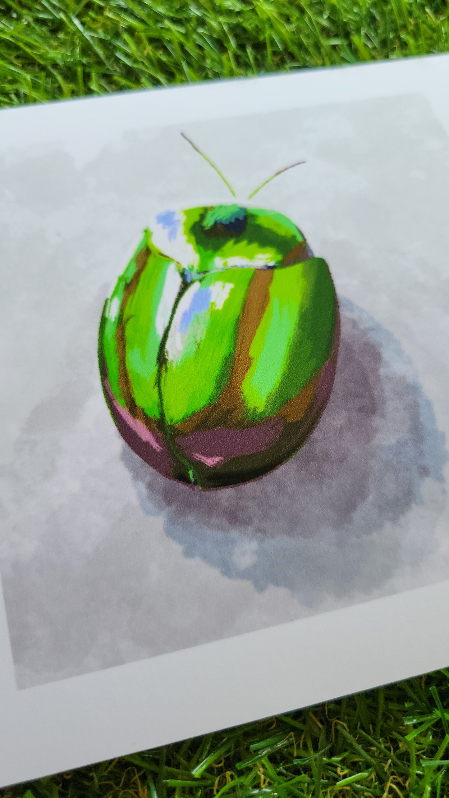 green beetle