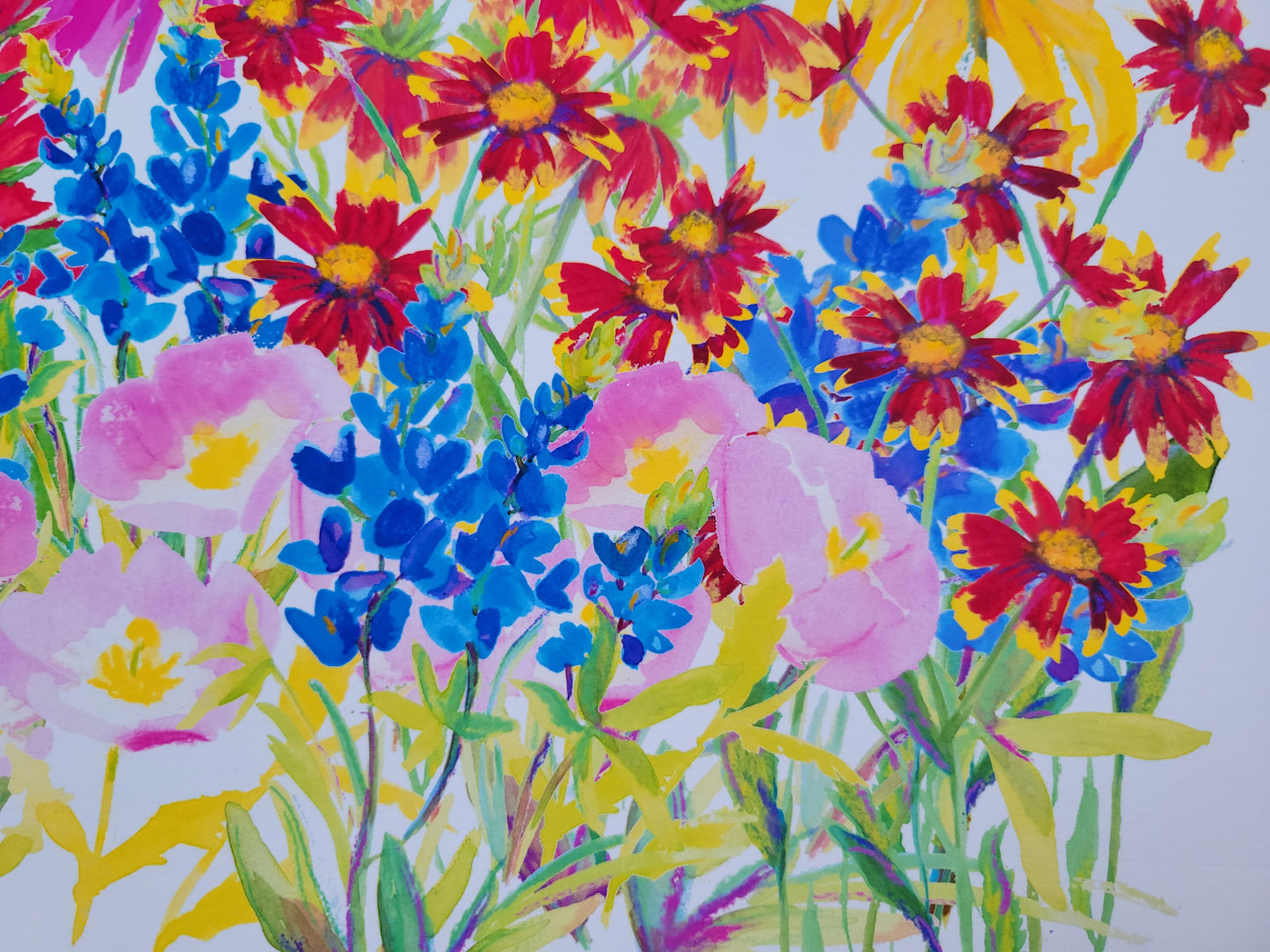 Texas wildflowers