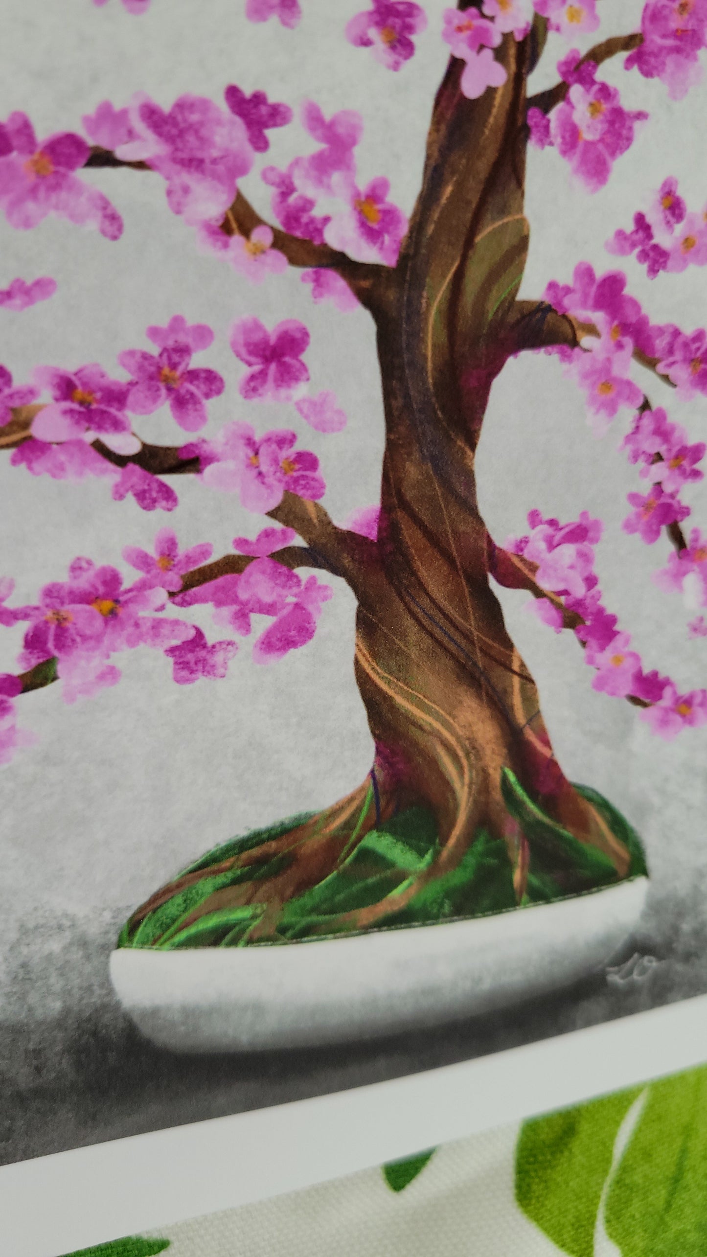 cherry tree bonsai