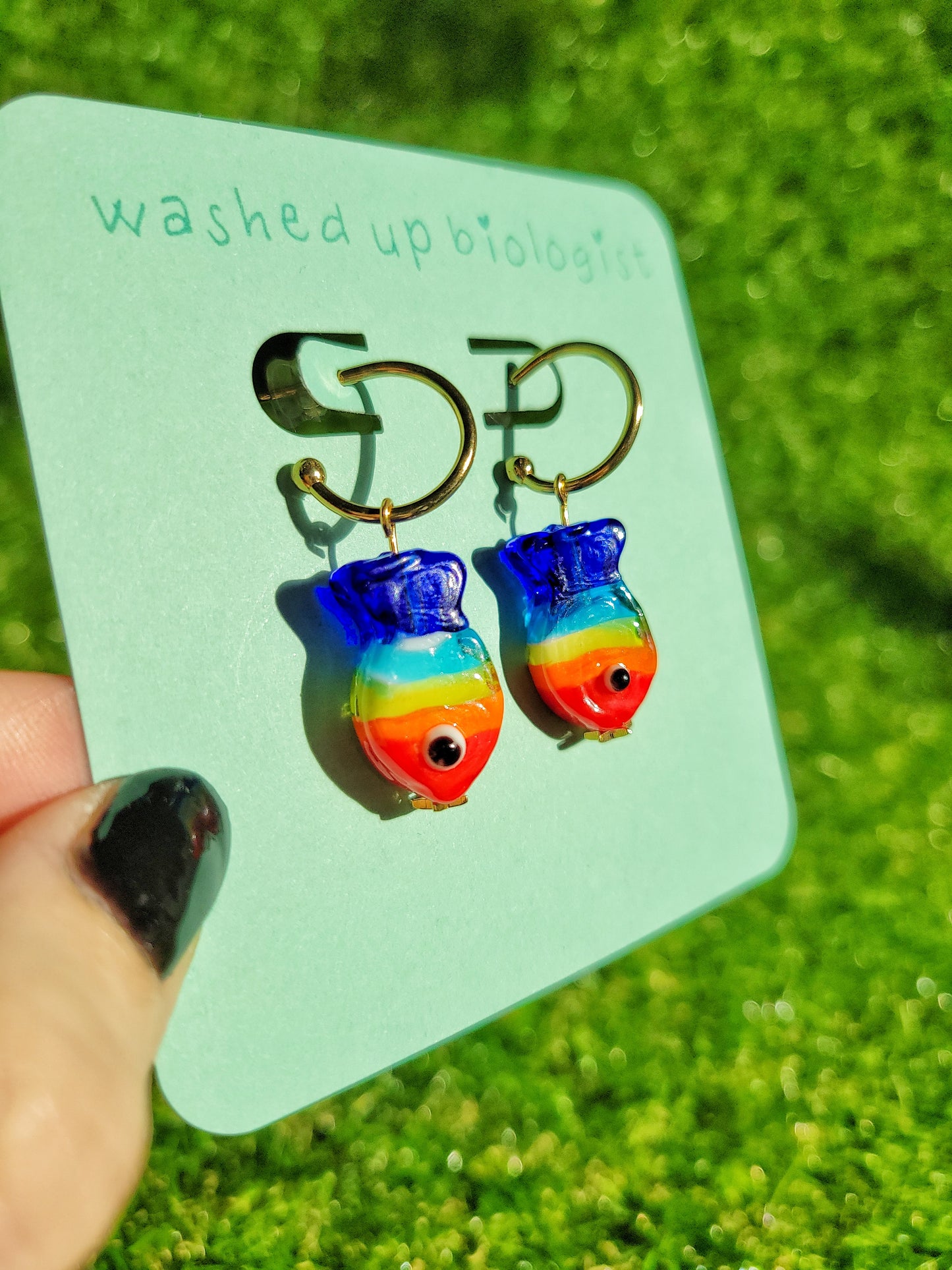 rainbow fish