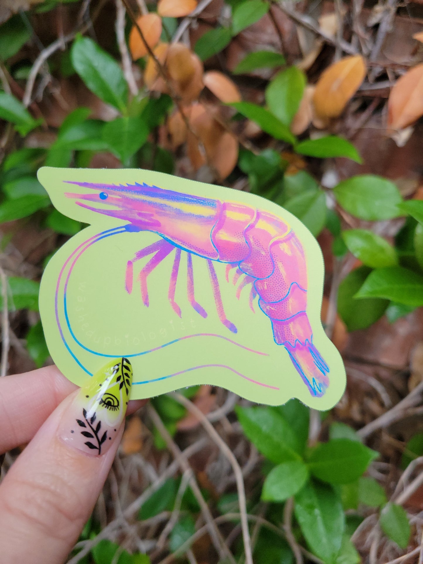 shrimp matte sticker