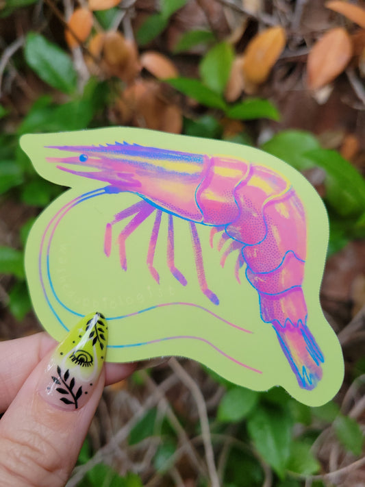 shrimp matte sticker