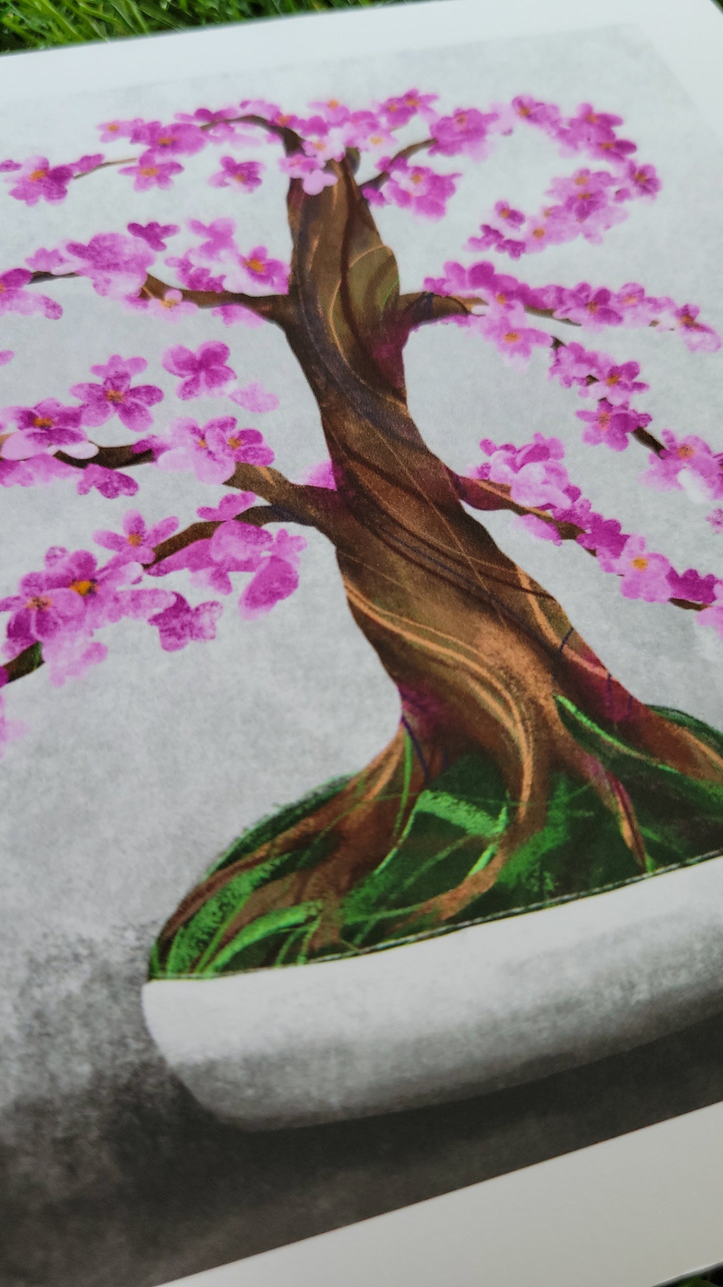 cherry tree bonsai