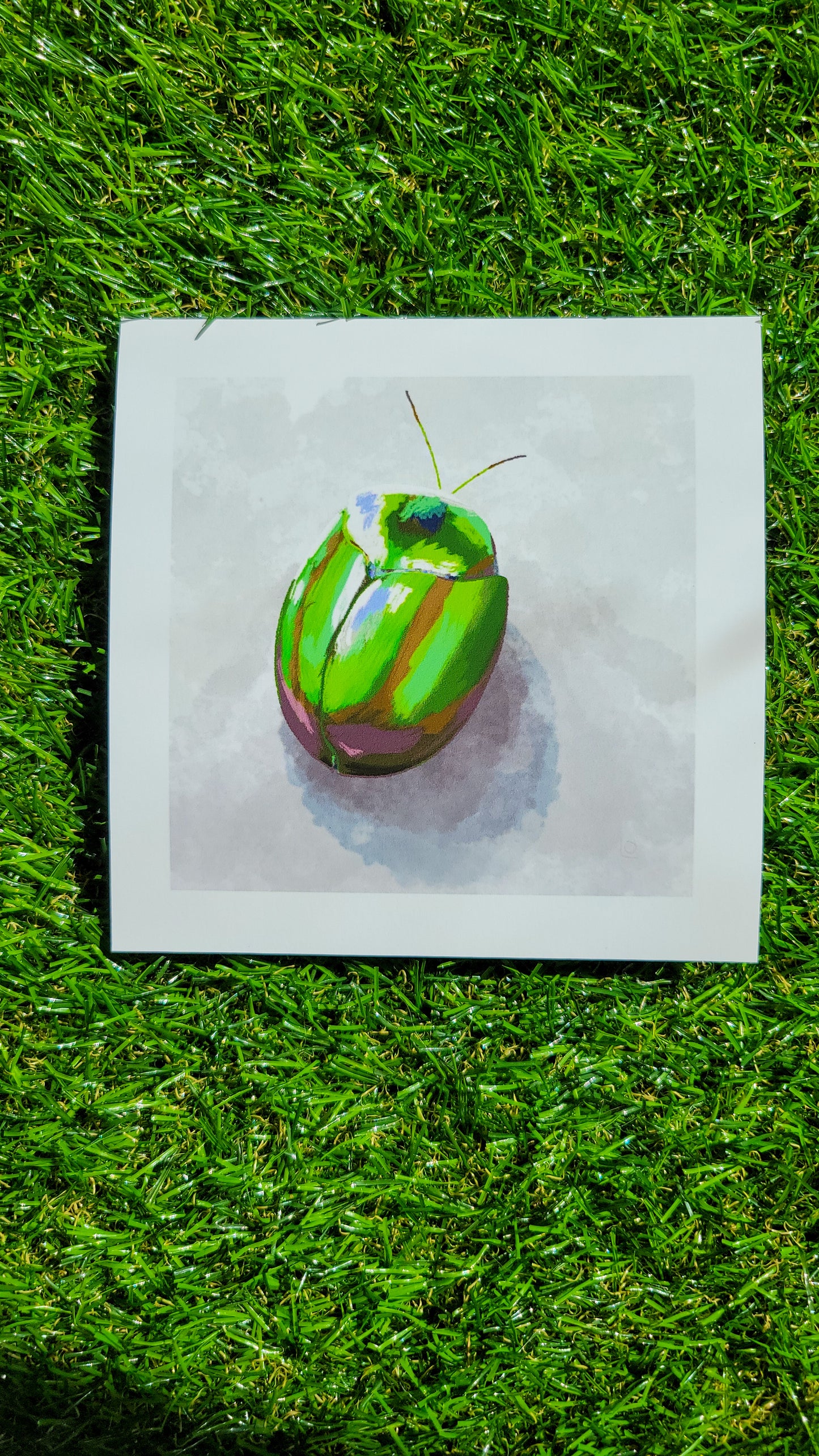 green beetle