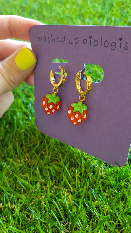 🍓 strawberries 🍓