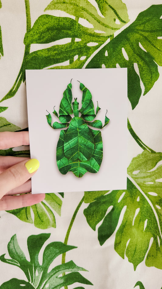 Gray's leaf insect