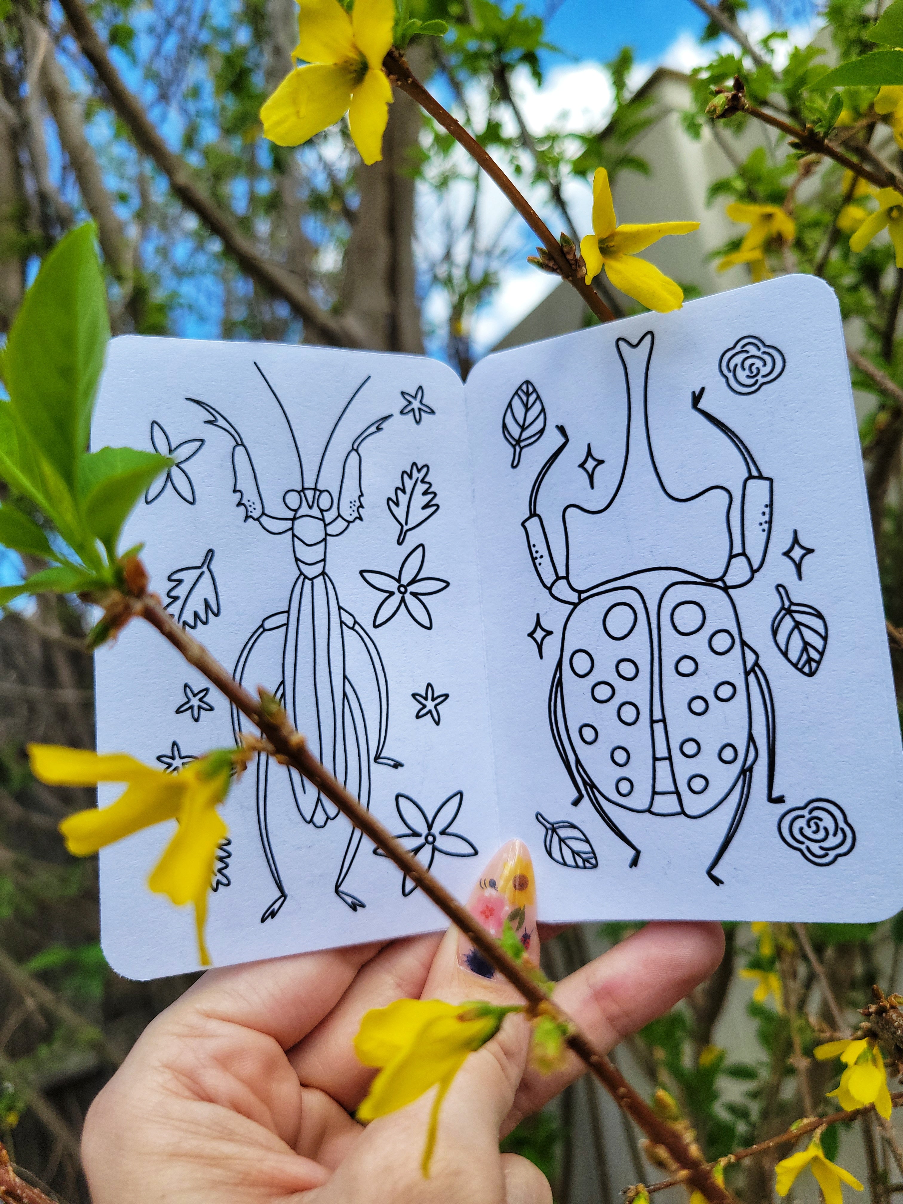 🐞 printable bugs mini zine coloring book digital file🪲