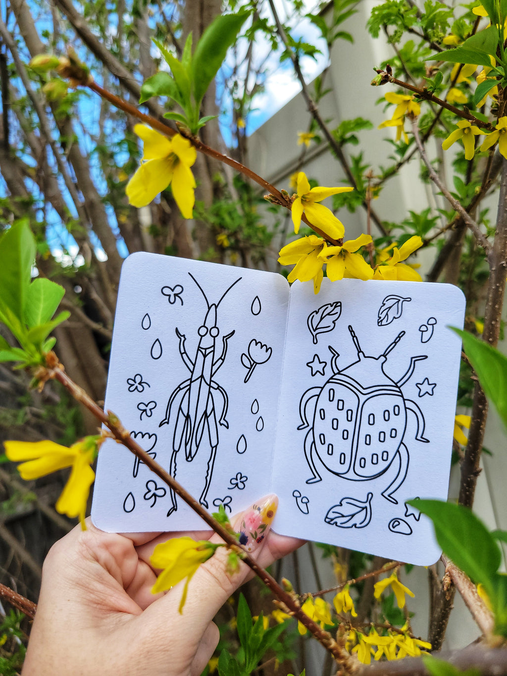 🐞 bugs mini zine coloring book 🪲