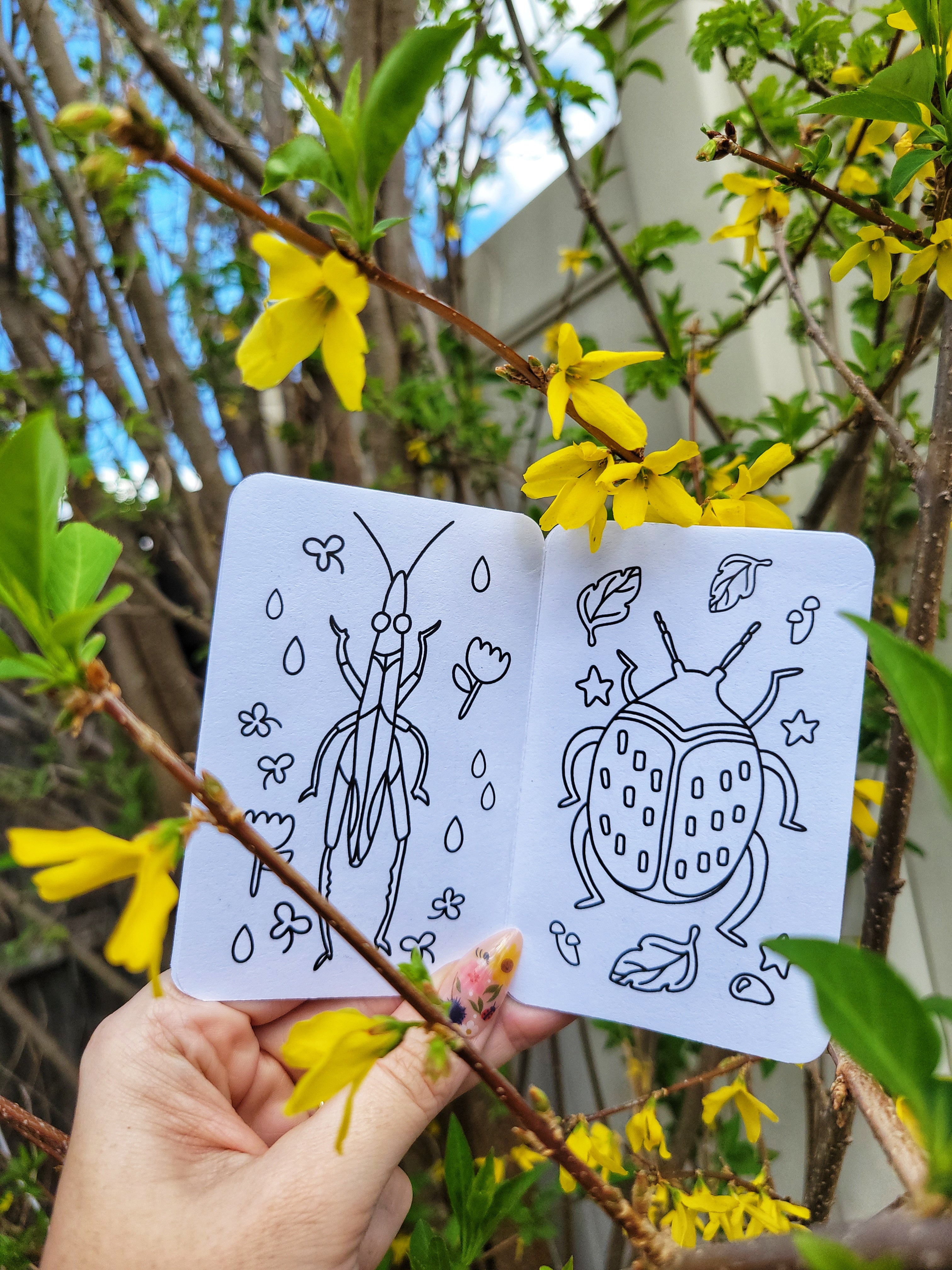 🐞 printable bugs mini zine coloring book digital file🪲