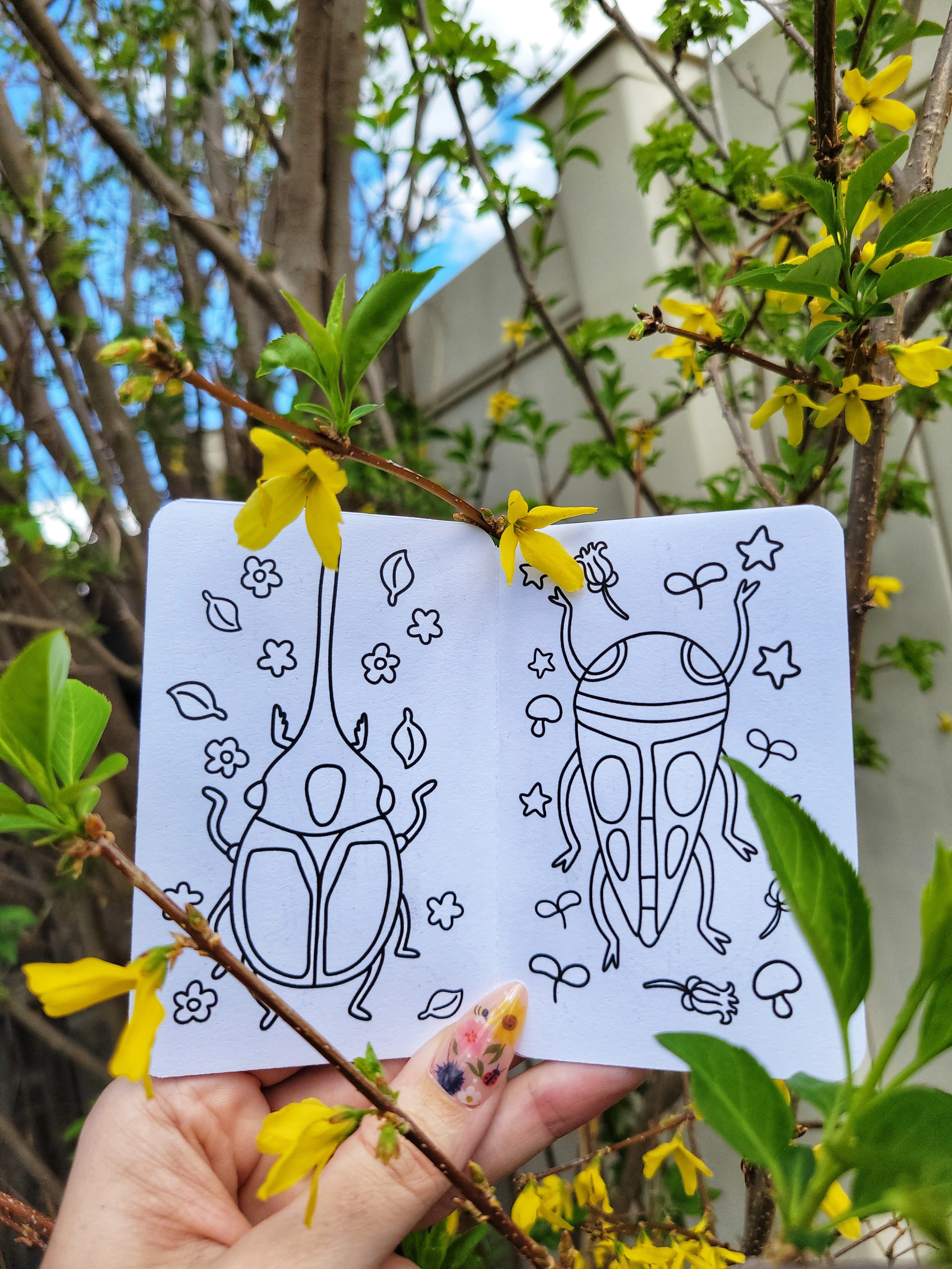 🐞 printable bugs mini zine coloring book digital file🪲