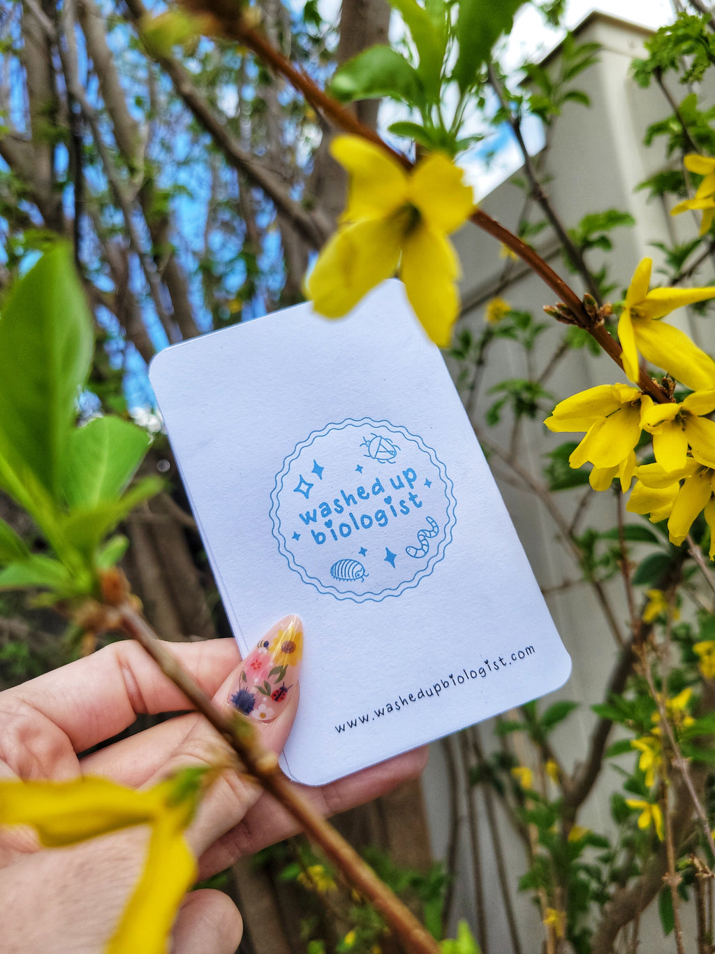 🐞 bugs mini zine coloring book 🪲
