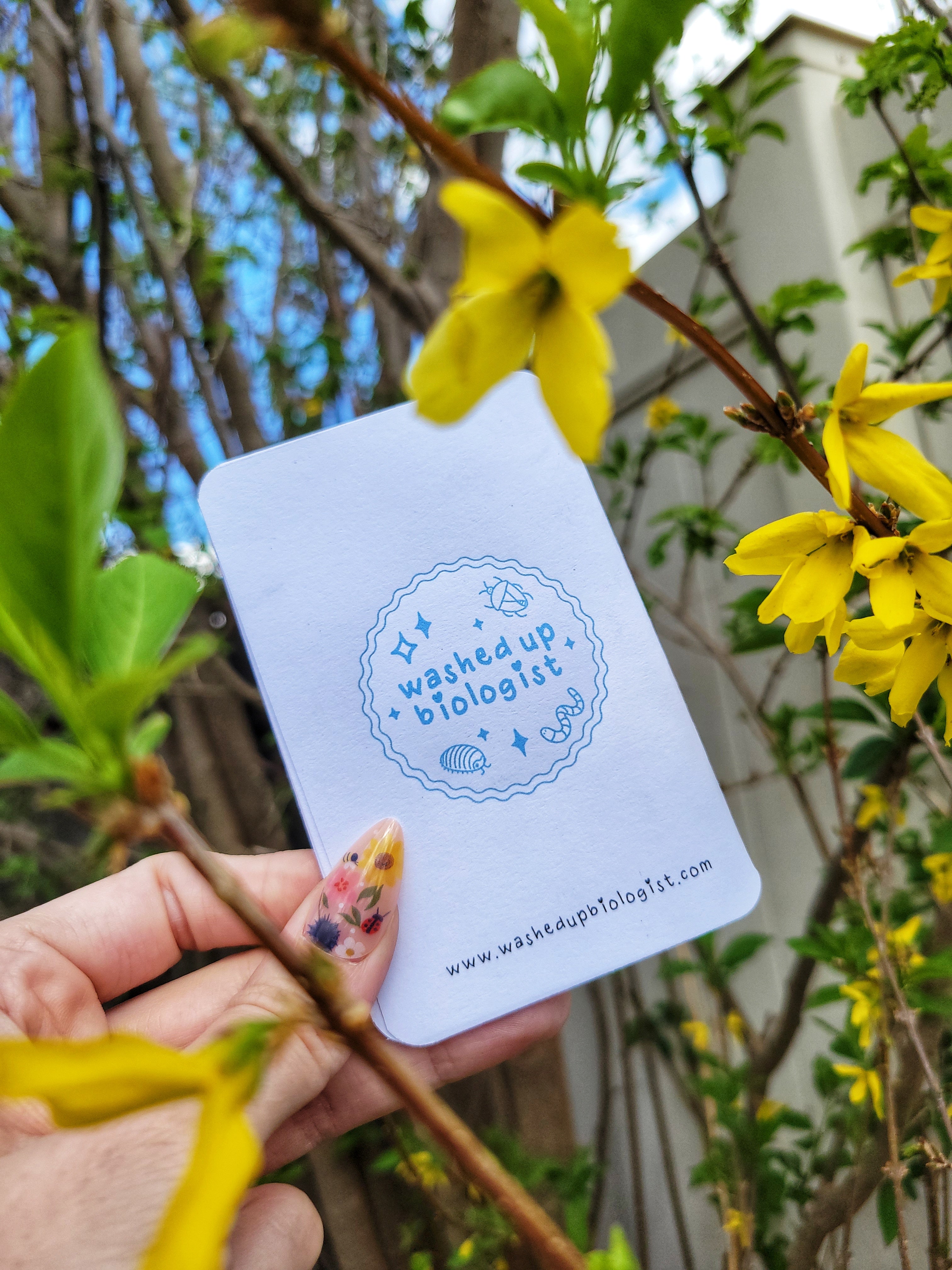 🐞 printable bugs mini zine coloring book digital file🪲