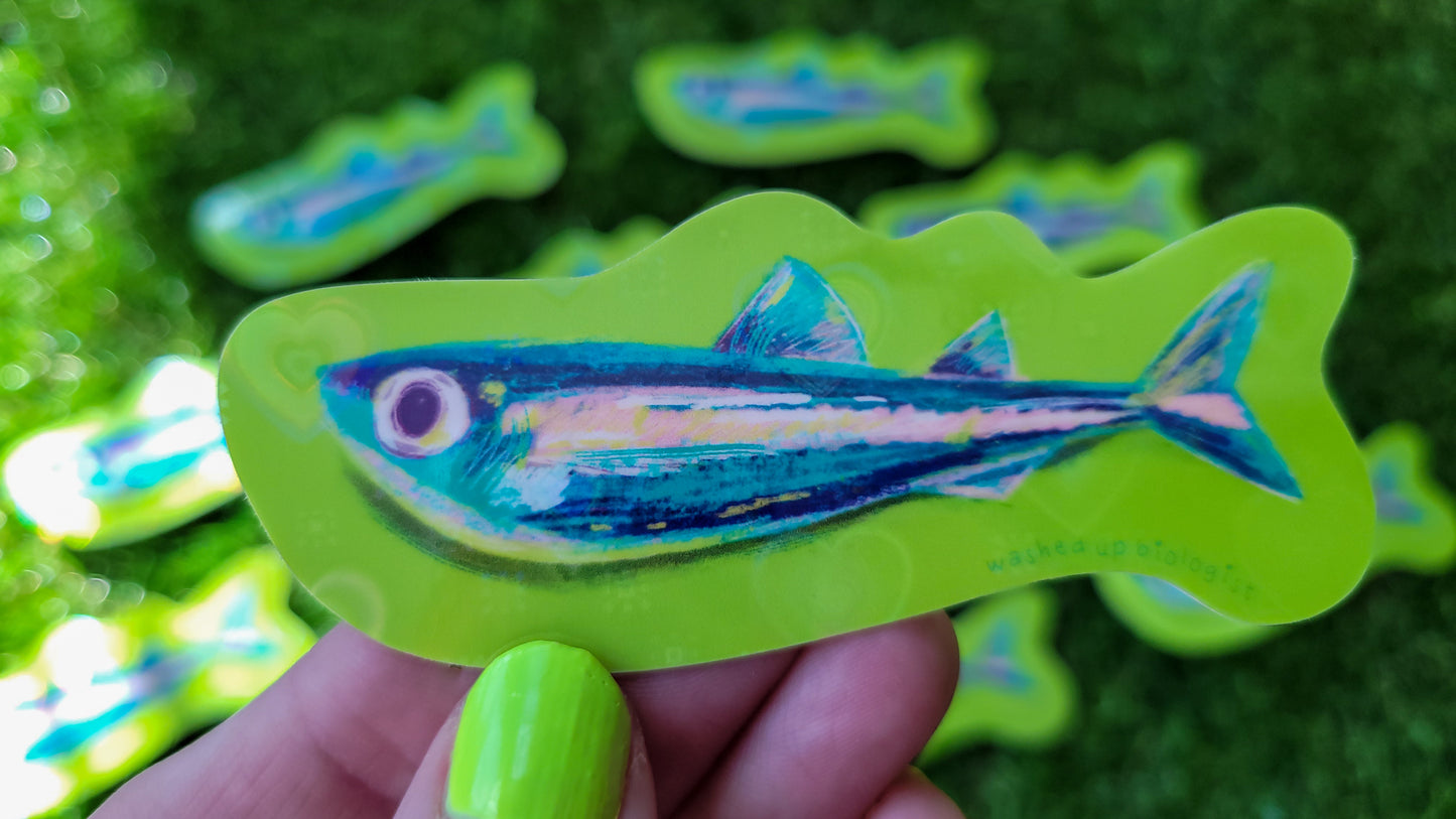 💖 limited edition holographic hearts sardine sticker 💖