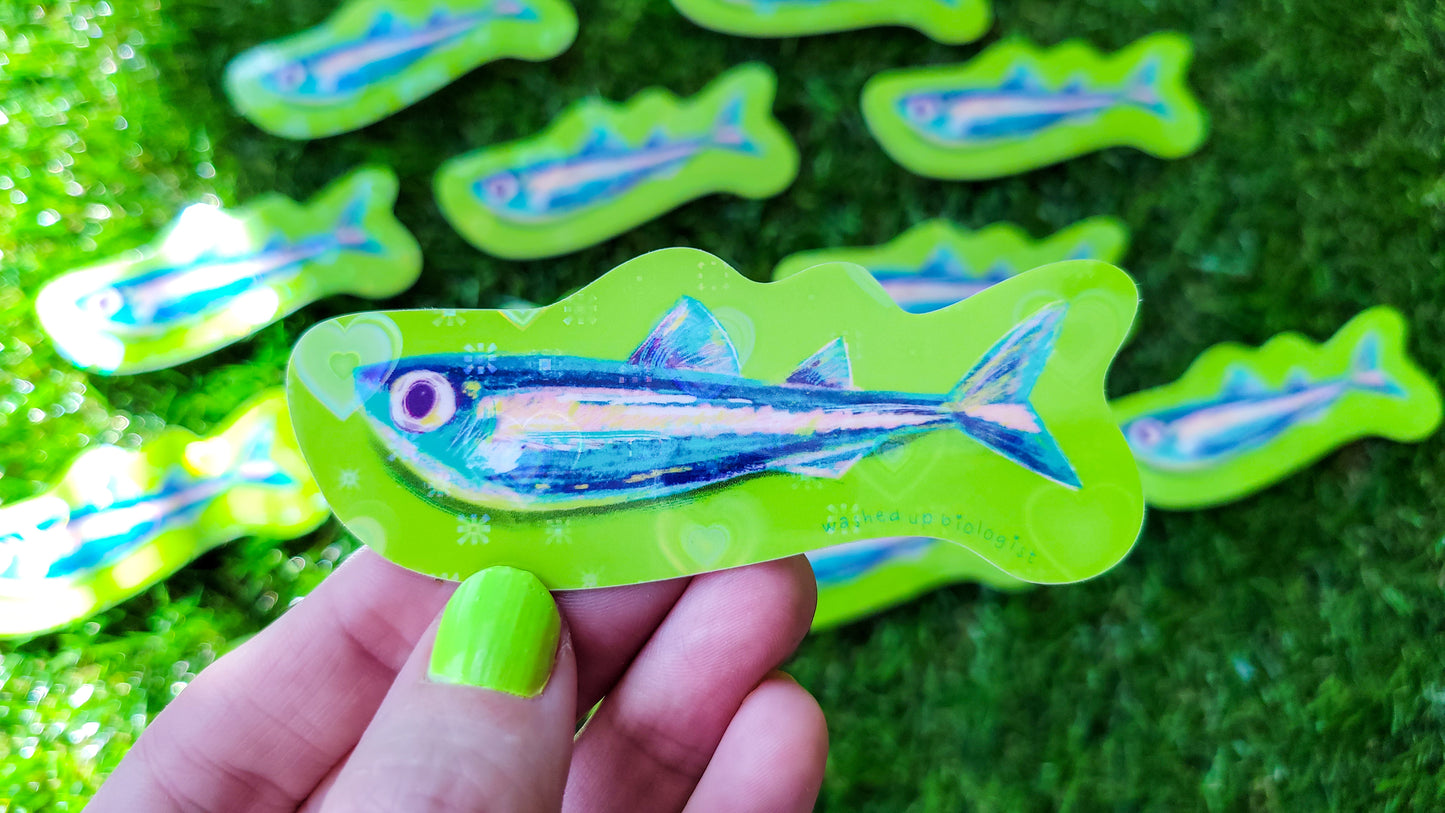 💖 limited edition holographic hearts sardine sticker 💖
