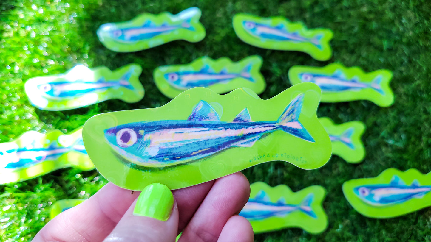 💖 limited edition holographic hearts sardine sticker 💖