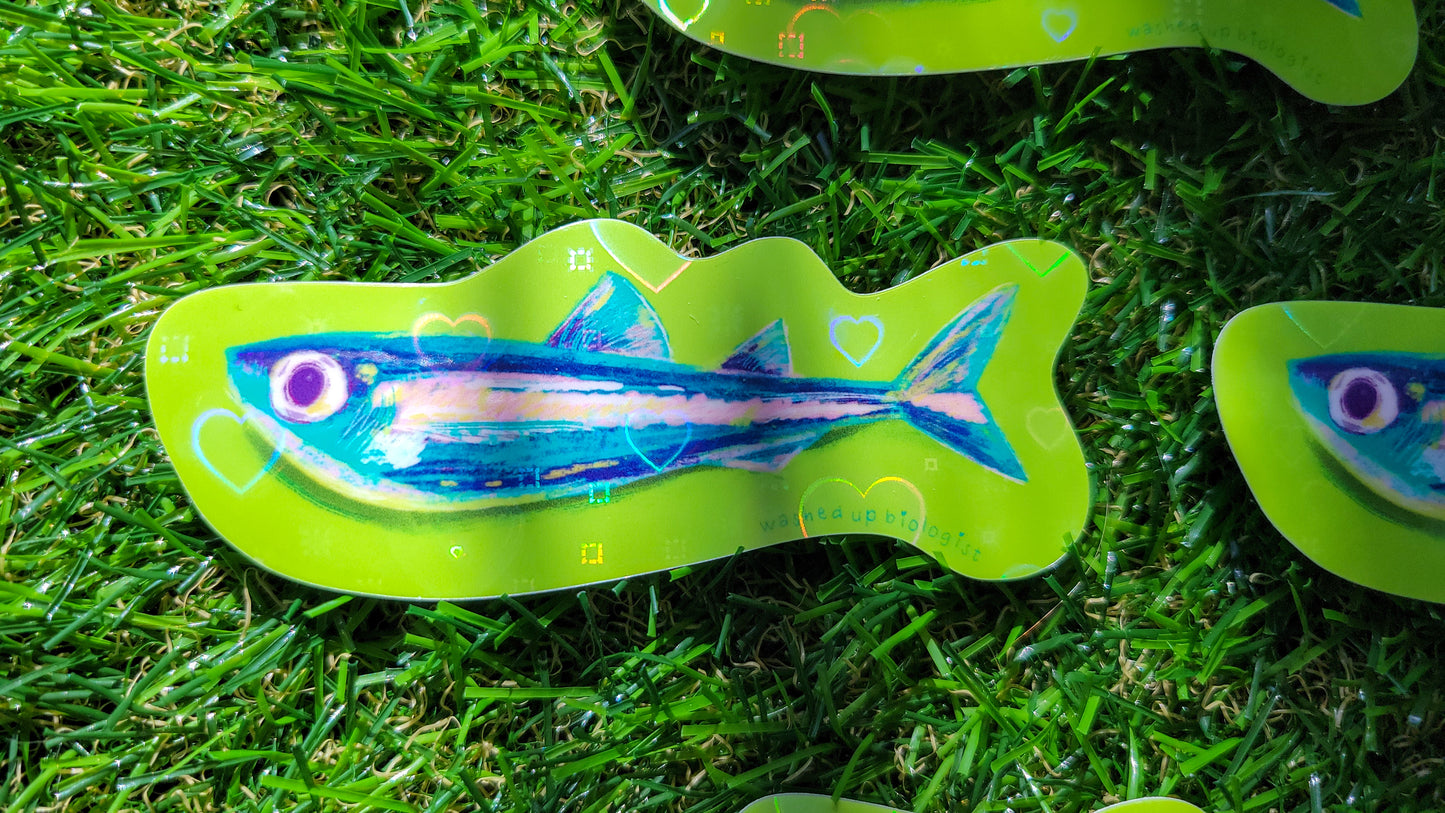 💖 limited edition holographic hearts sardine sticker 💖
