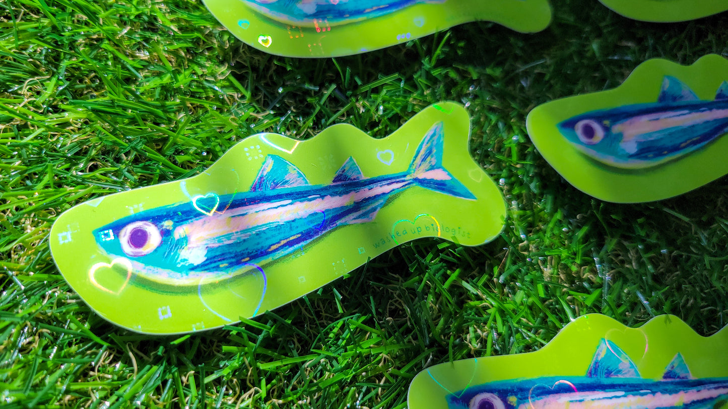 💖 limited edition holographic hearts sardine sticker 💖