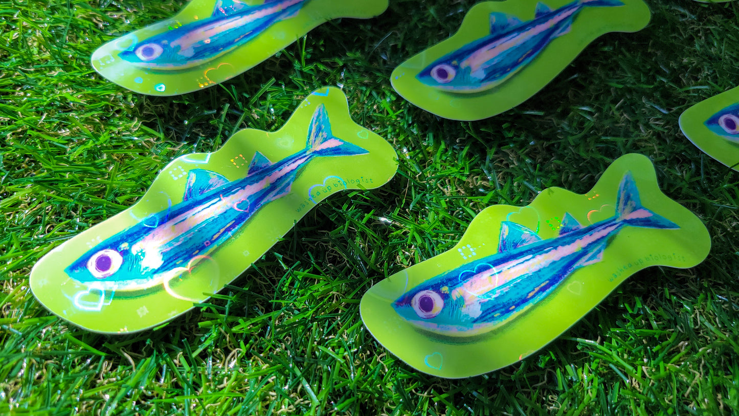 💖 limited edition holographic hearts sardine sticker 💖
