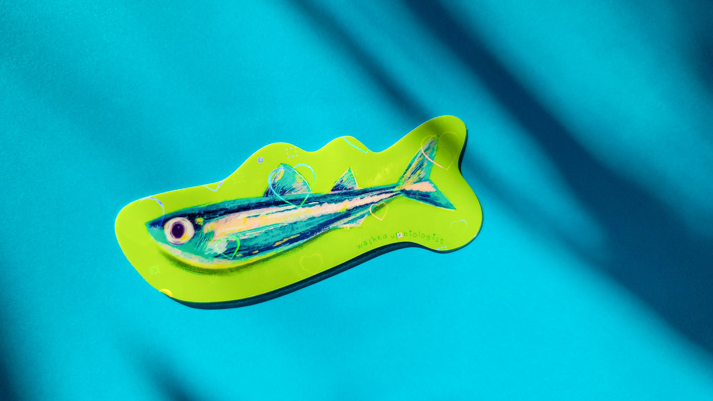 💖 limited edition holographic hearts sardine sticker 💖
