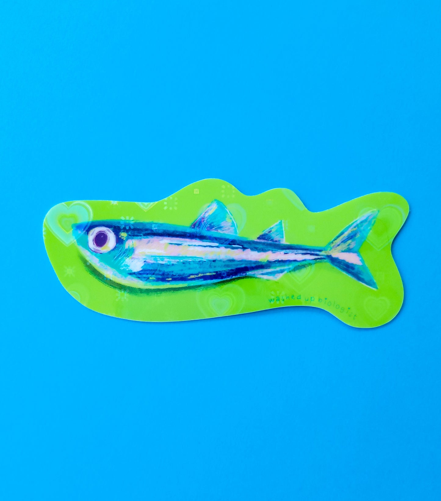 💖 limited edition holographic hearts sardine sticker 💖