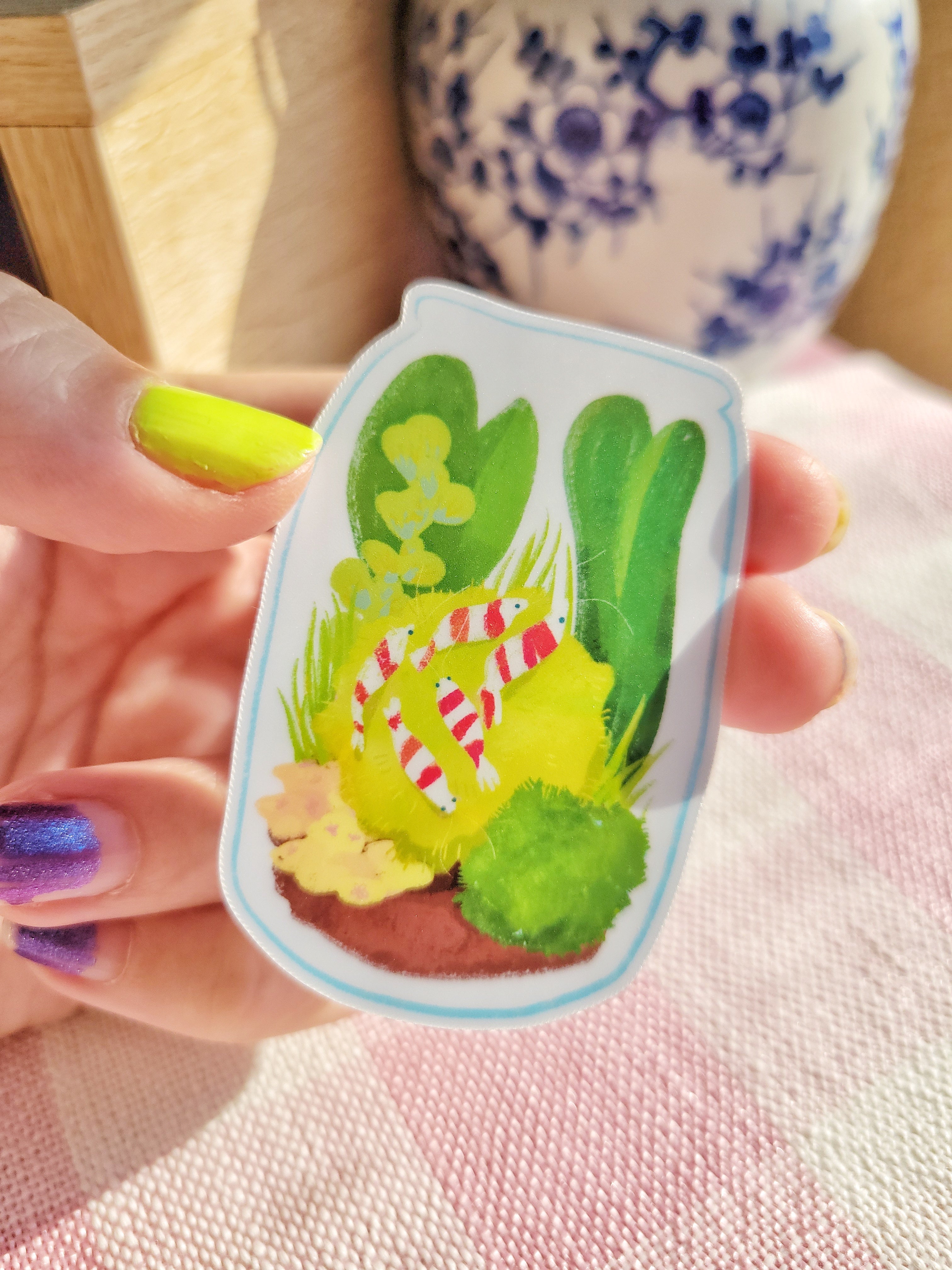 jar of shrimpies vinyl weatherproof sticker