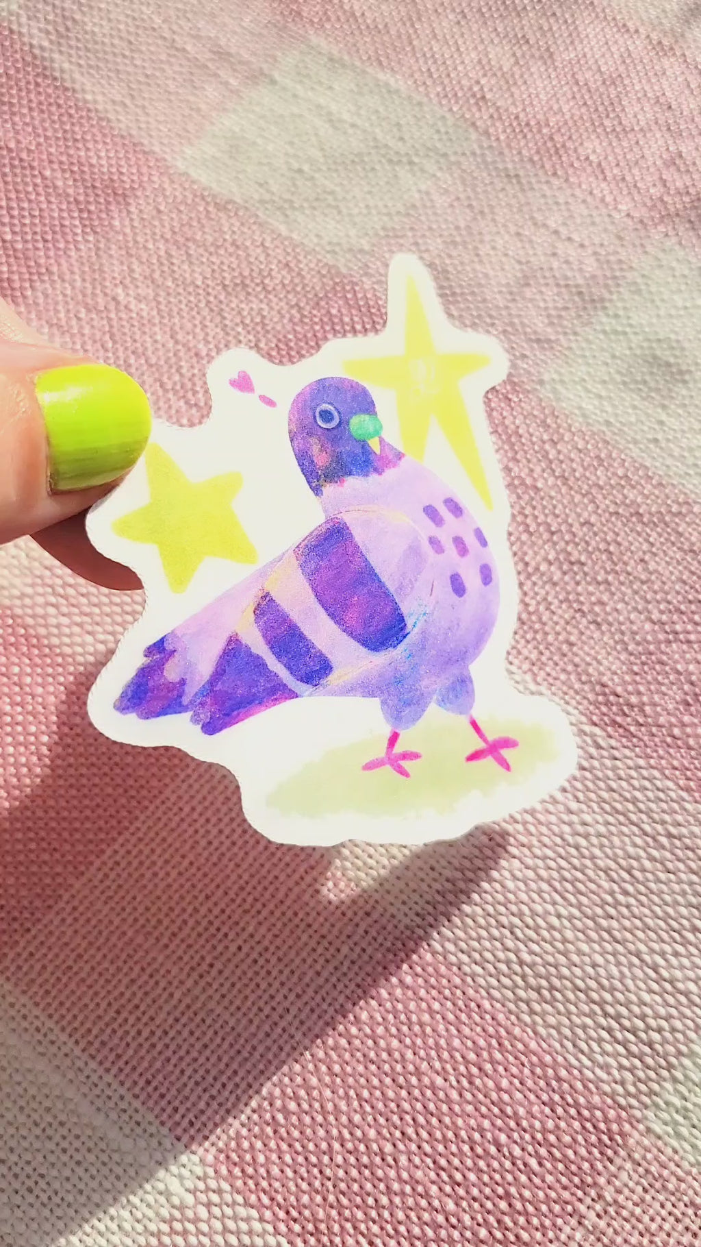sassy pigeon vinyl weatherproof sticker