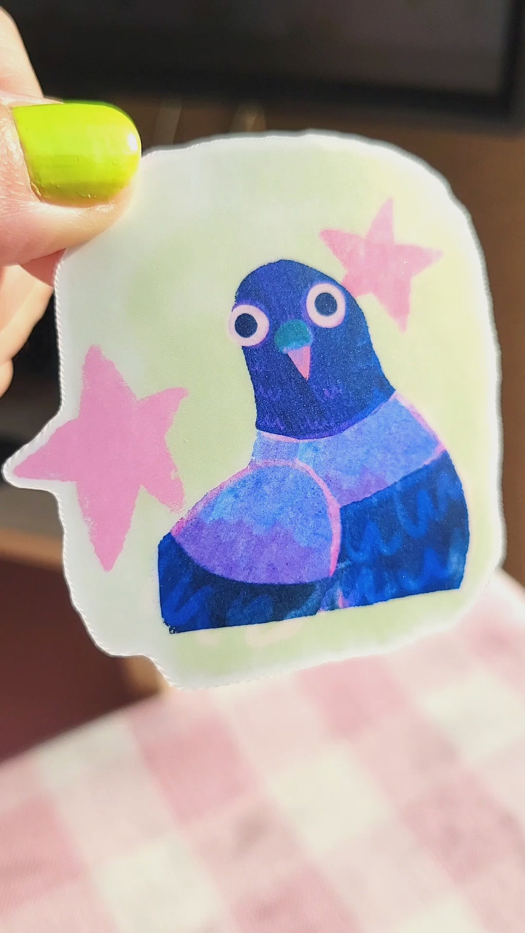 star pigeon portrait vinyl weatherproof sticker