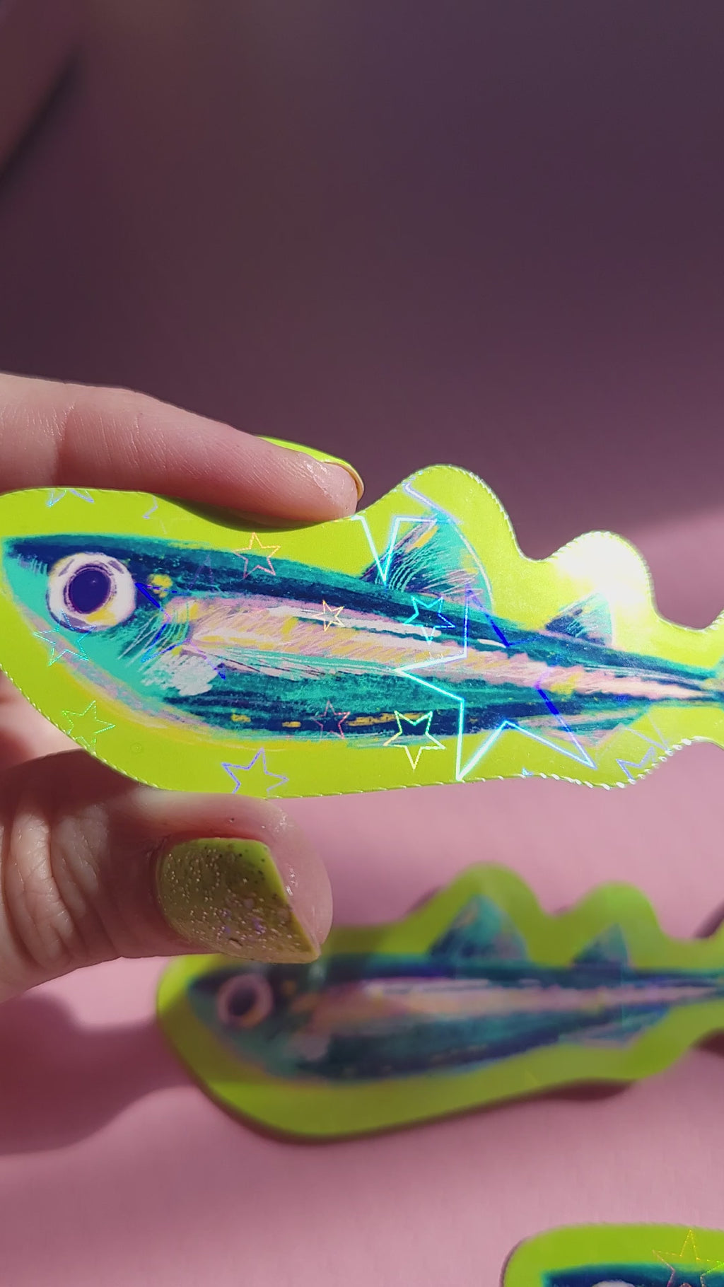 🌟holographic stars vinyl sardine sticker🌟