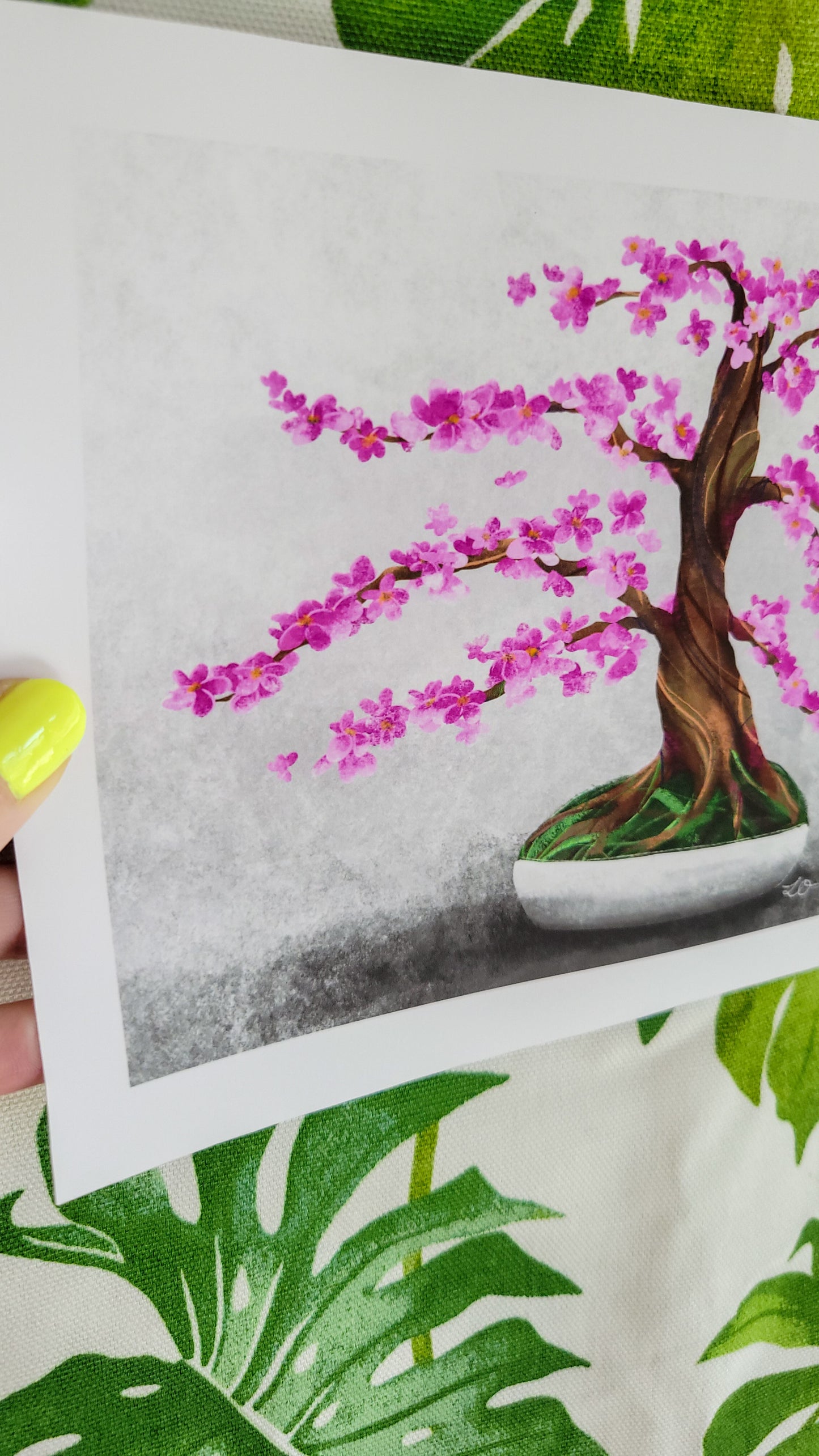 cherry tree bonsai