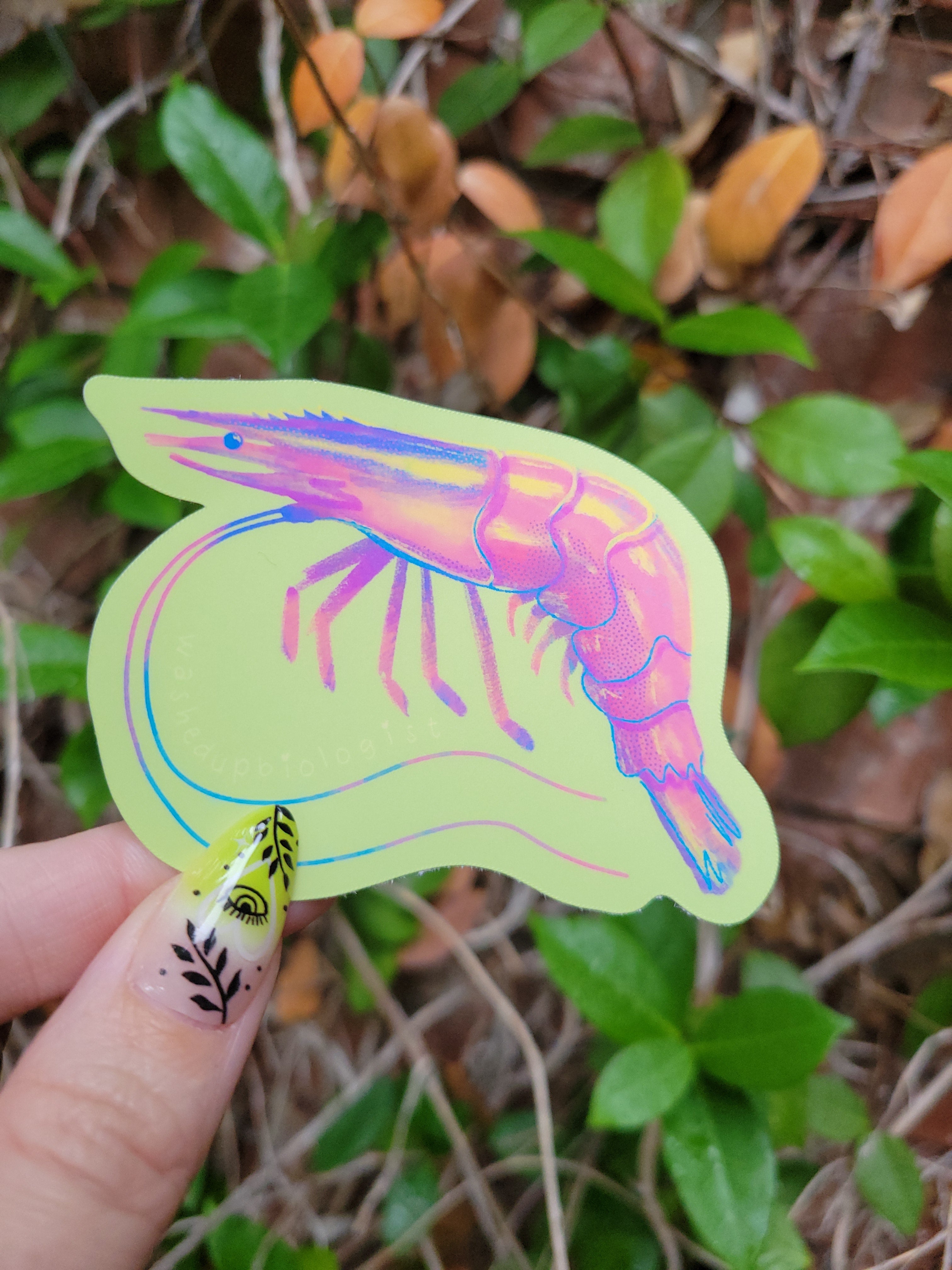 shrimp matte sticker