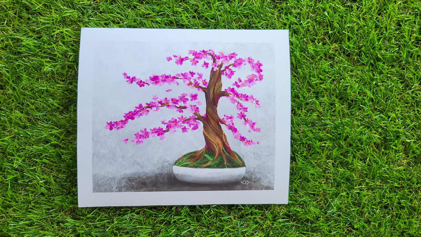 cherry tree bonsai