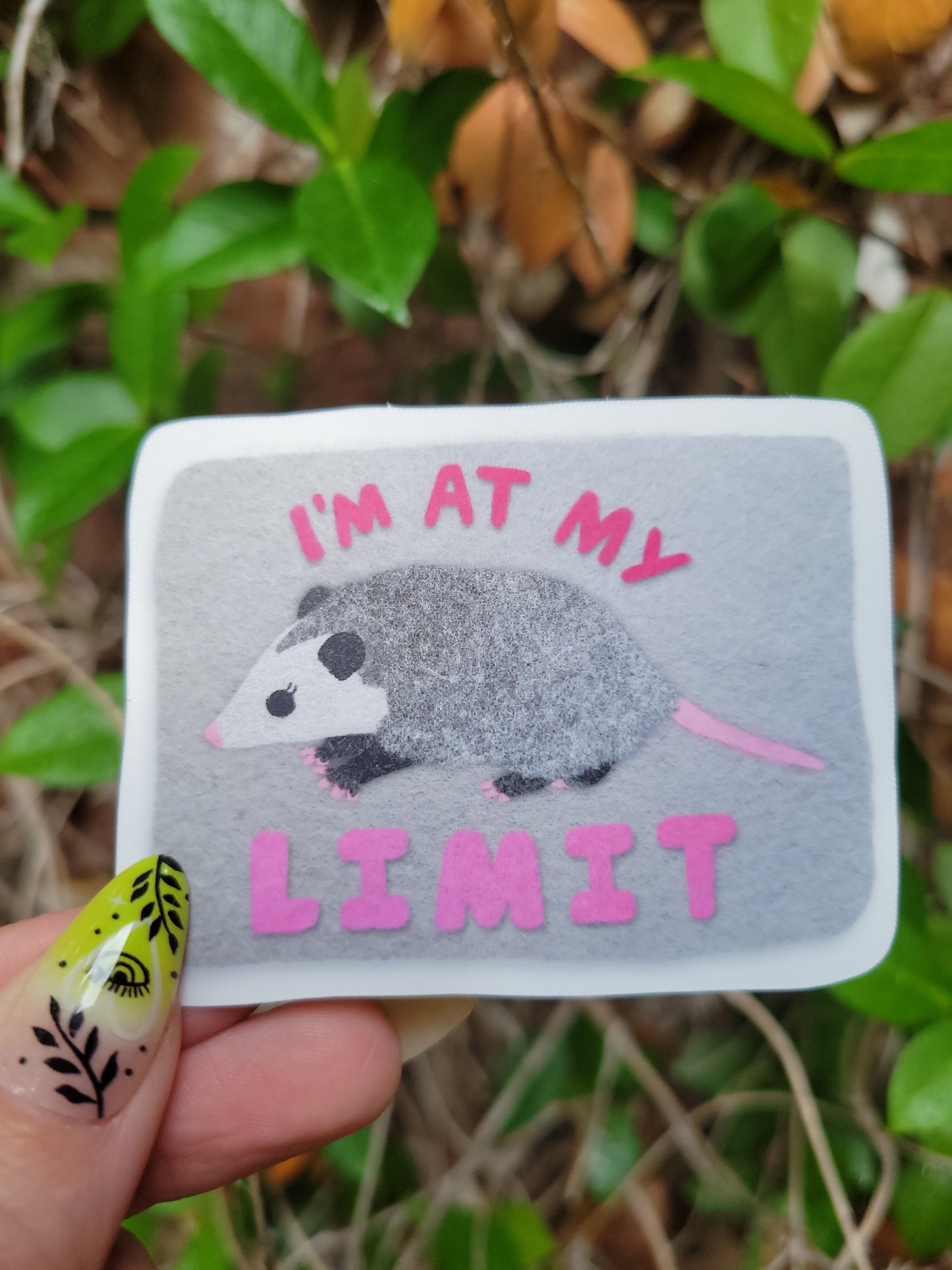 i'm at my limit matte sticker