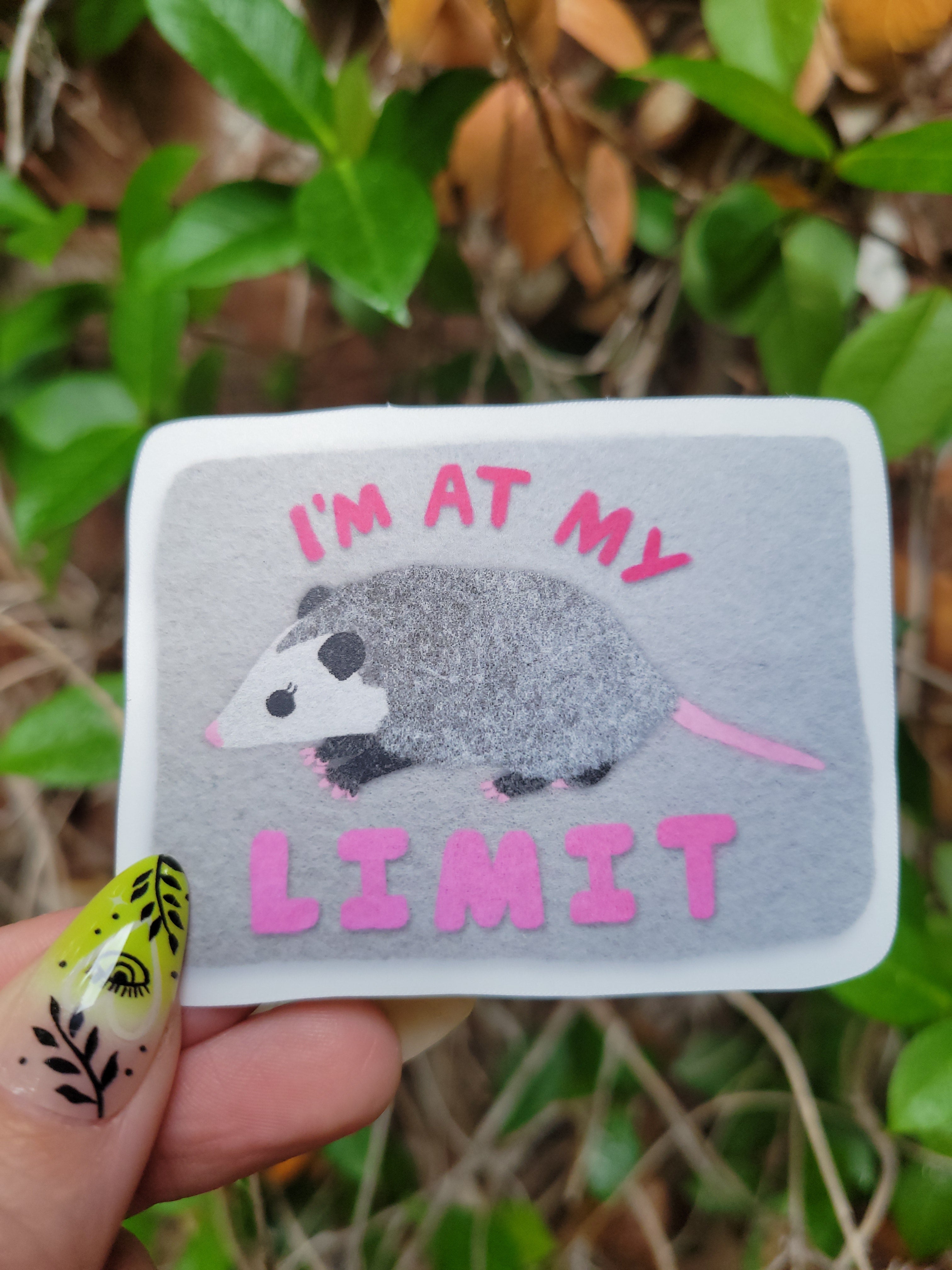 i'm at my limit matte sticker