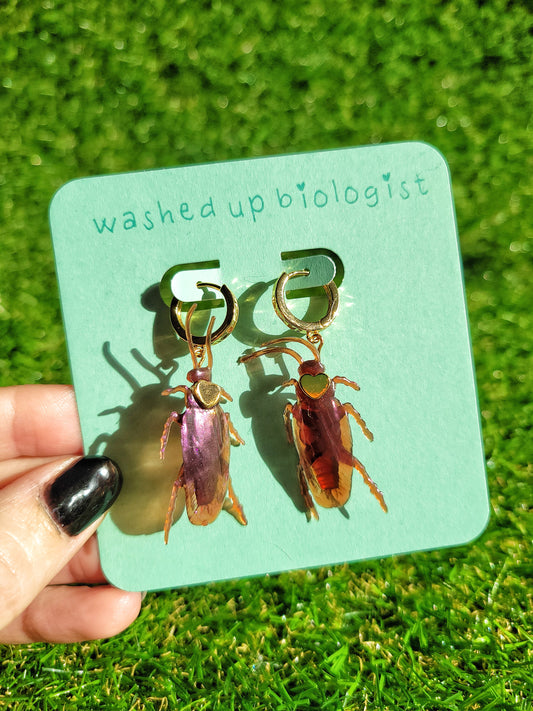 ✨ 🪳 exposure therapy 🪳✨ (iridescent purple cockroach earrings)