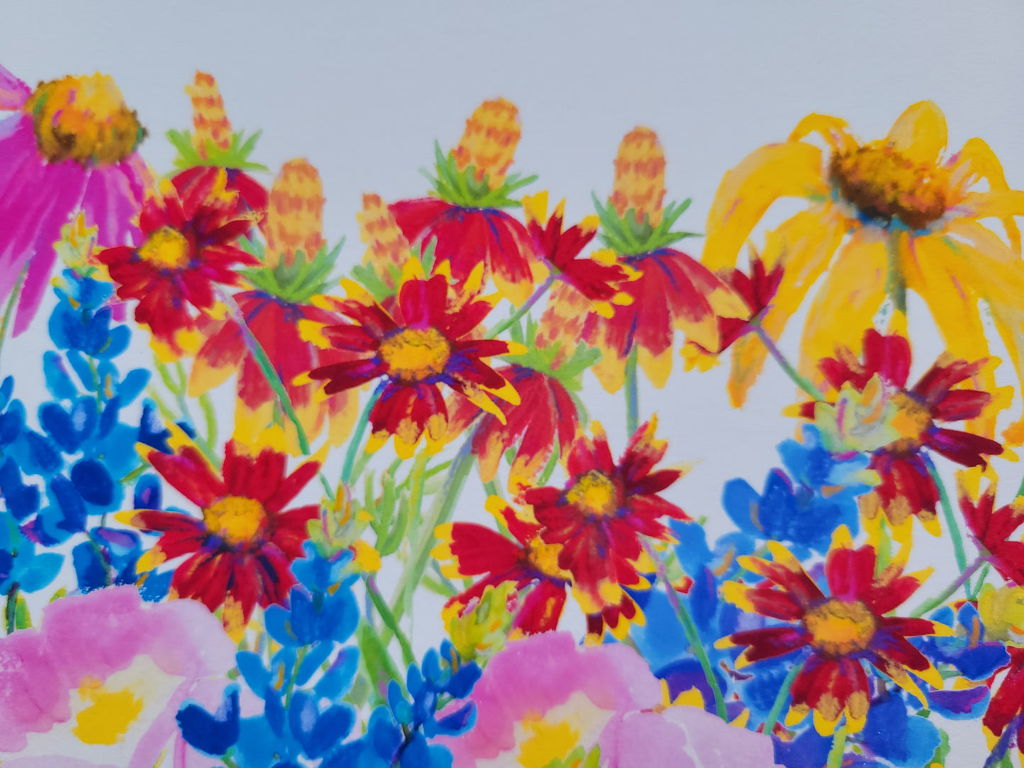 Texas wildflowers
