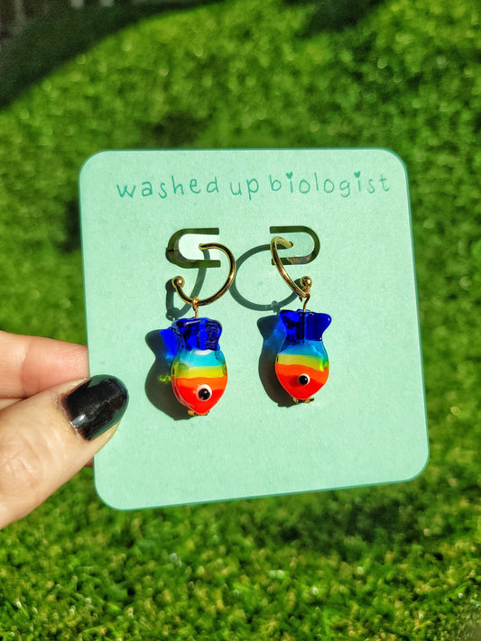 rainbow fish