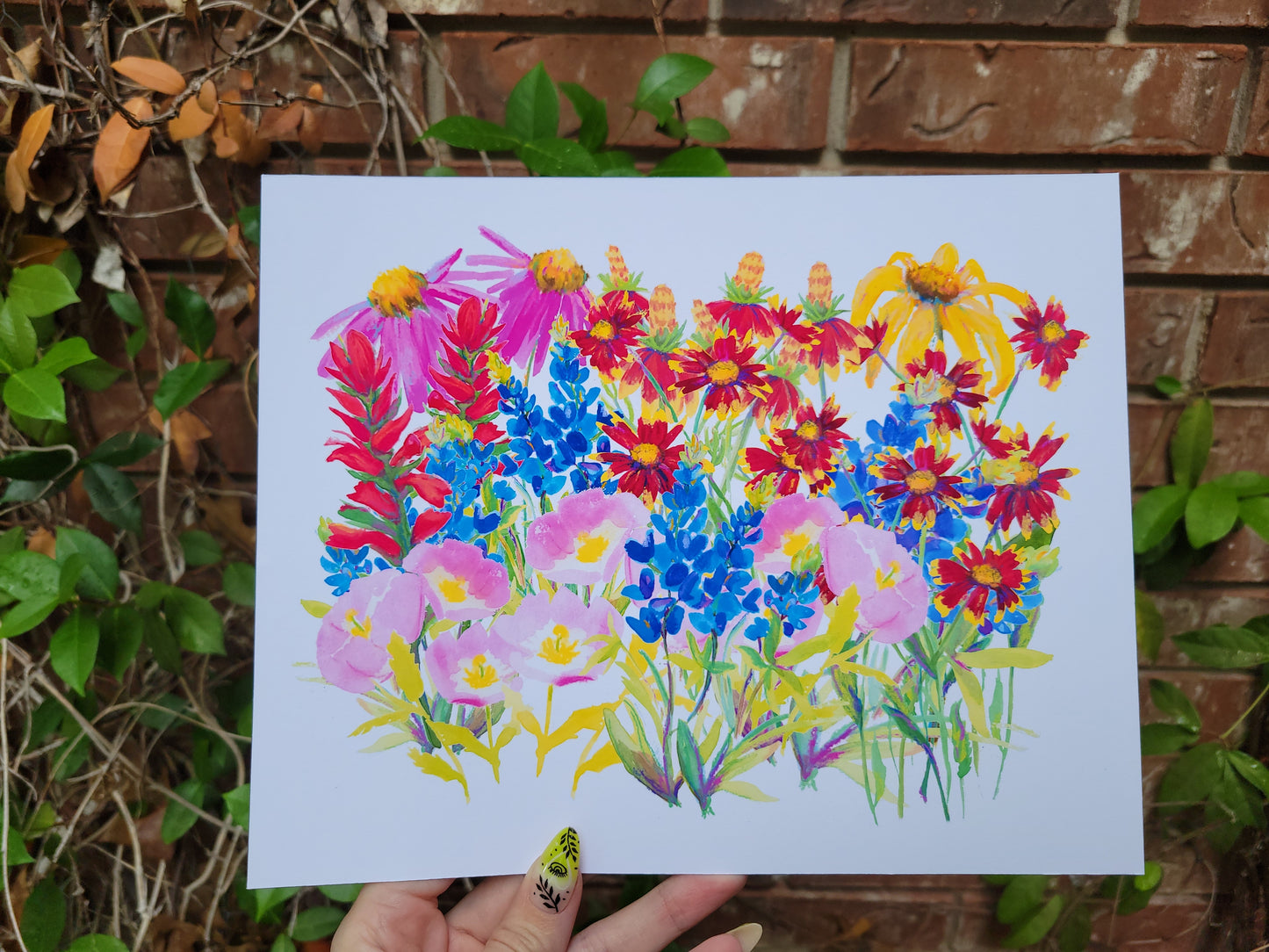 Texas wildflowers