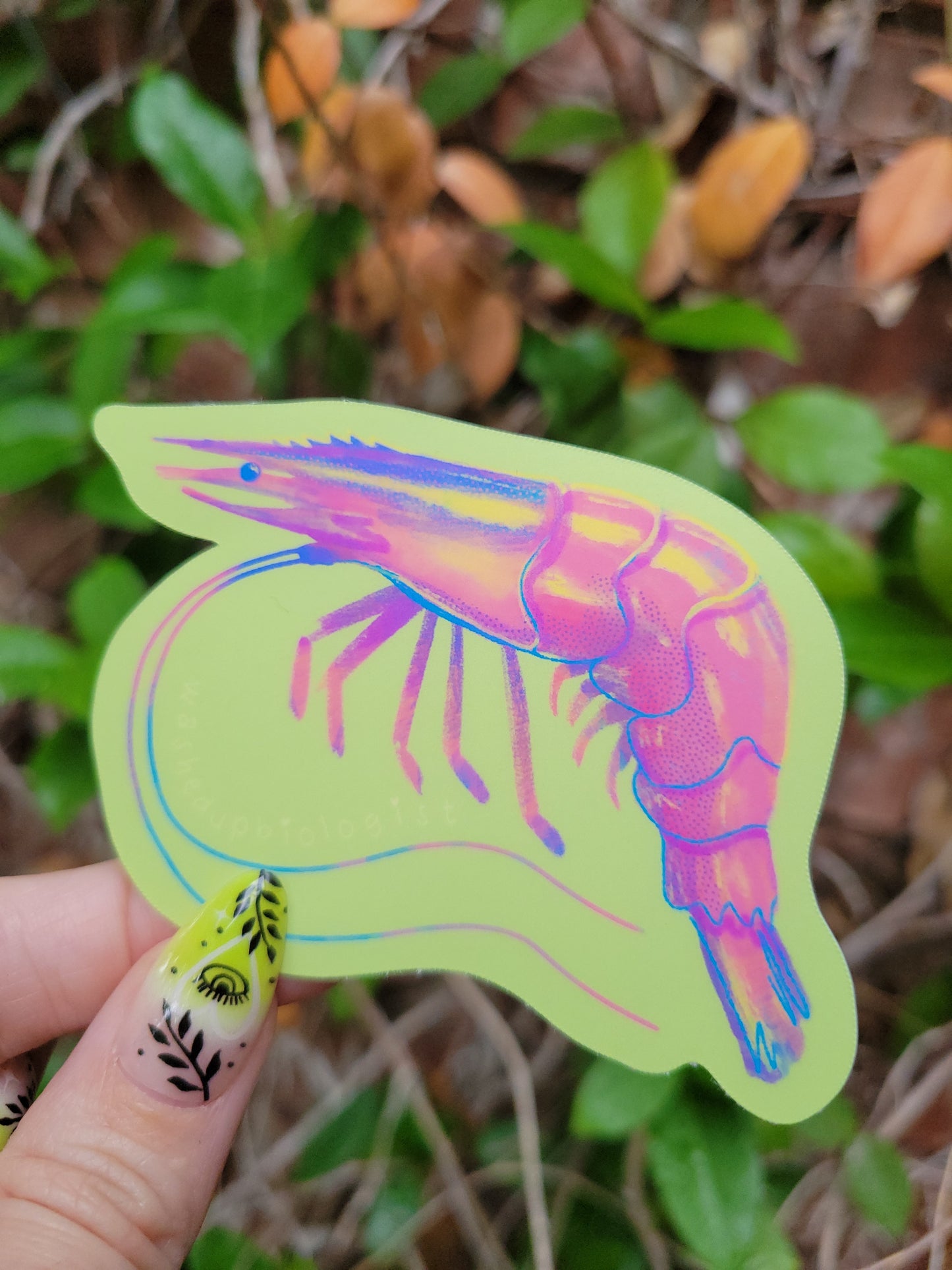 shrimp matte sticker