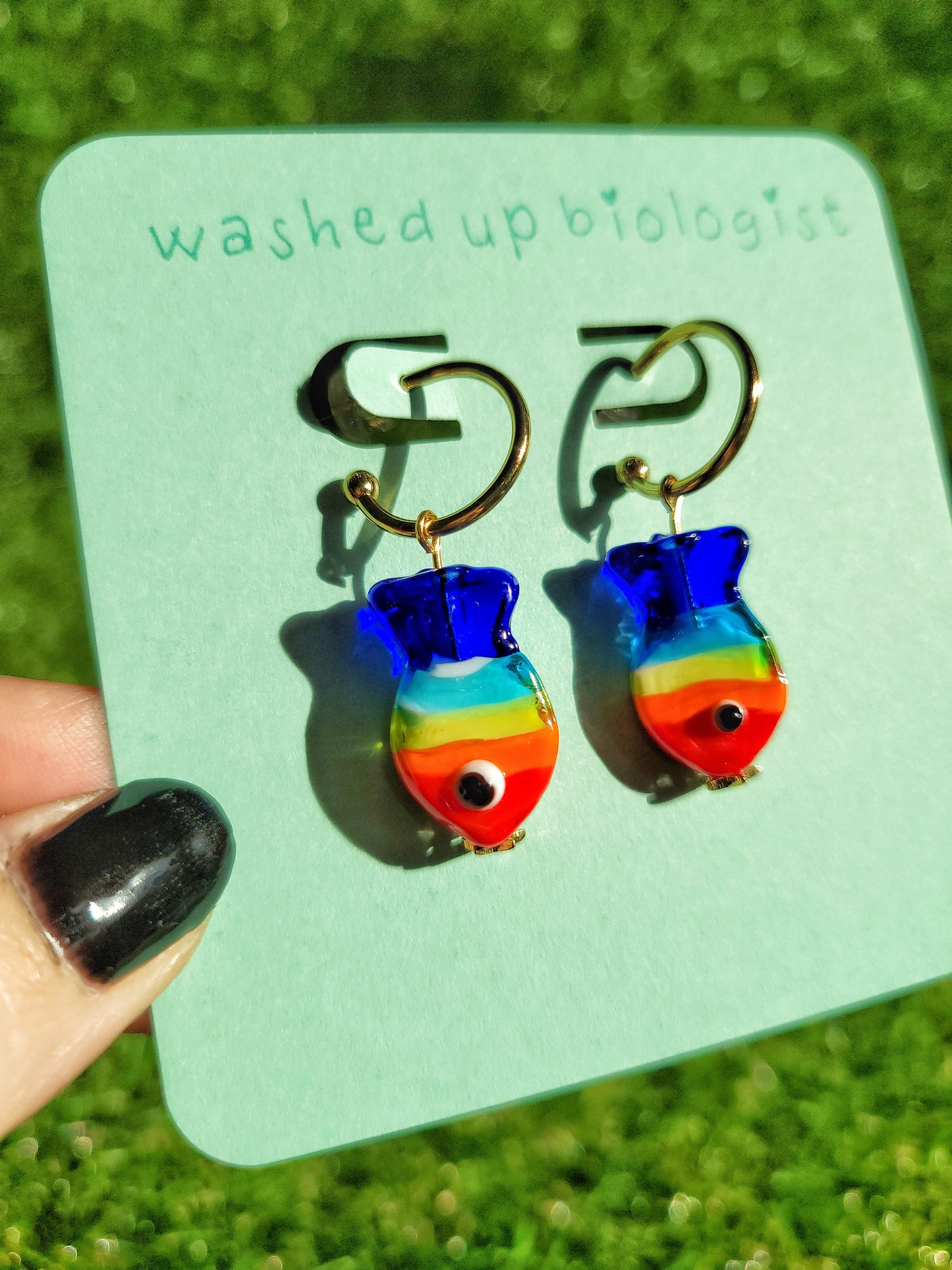 rainbow fish