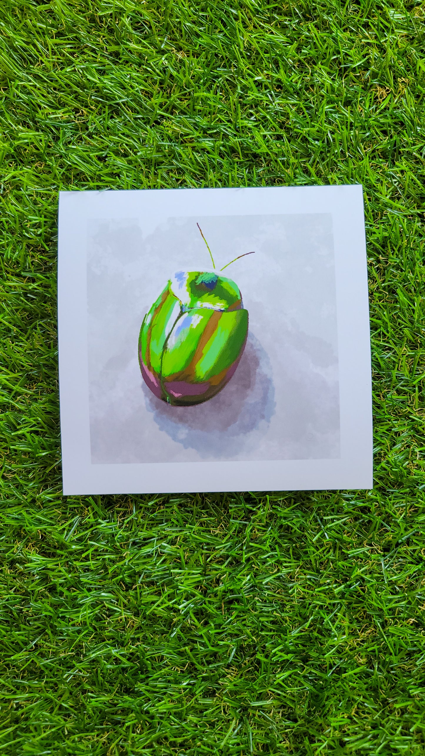 green beetle