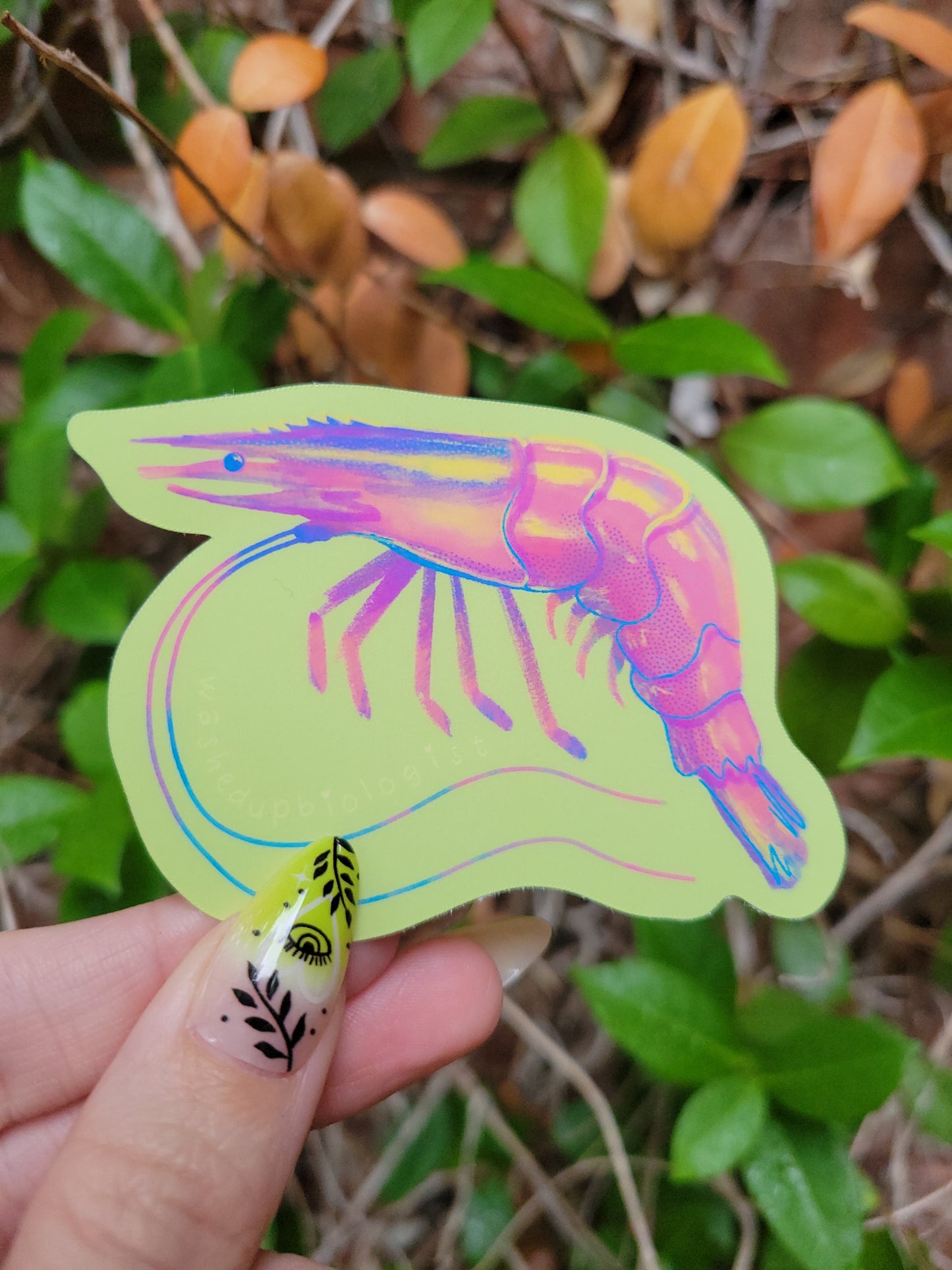 shrimp matte sticker
